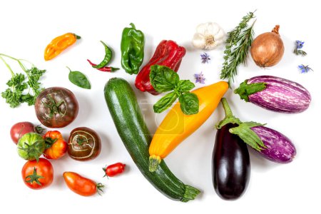 Téléchargez les photos : Aubergines, courgettes, tomates, poivrons, ail, oignon et aromatiques sur fond blanc-Vue du dessus - en image libre de droit