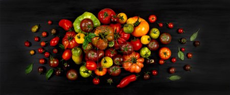 Foto de Principales especies de tomates antiguos vistos desde arriba sobre un fondo oscuro. - Imagen libre de derechos