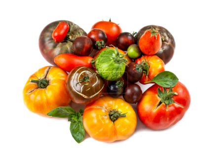 Photo for Main varieties of old tomatoes - Royalty Free Image
