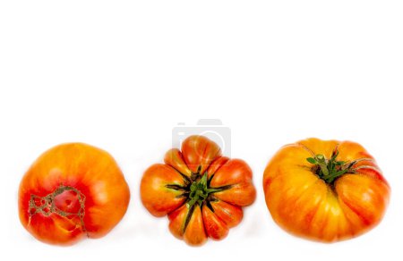 Photo for Old tomatoes Pineapple aligned in a different direction on a white background of tower . - Royalty Free Image