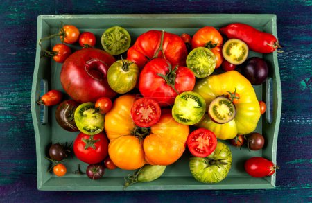 Téléchargez les photos : Vieilles tomates entières et coupées en deux dans un plateau vert. - en image libre de droit