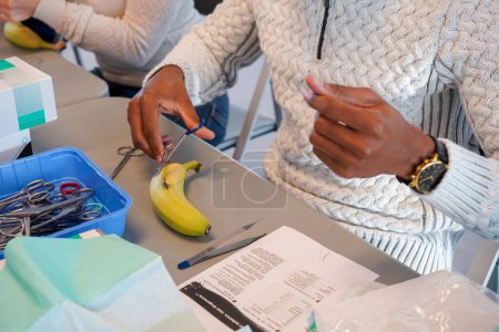 Téléchargez les photos : Étudiants de 5e année lors d'un atelier de couture. Les élèves apprennent les gestes de suture sur faux épiderme ou bananes. - en image libre de droit