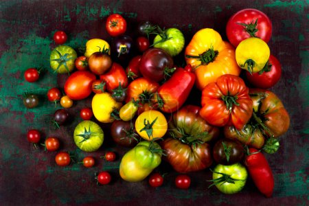 Téléchargez les photos : Vieilles tomates empilées sur un vieux carton vert et rouge. - en image libre de droit