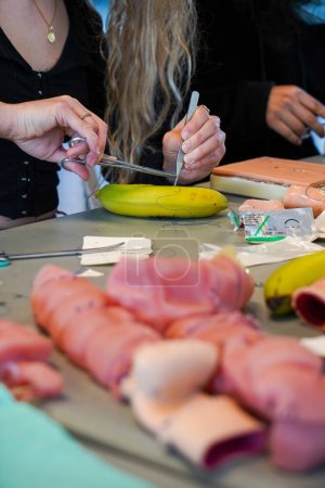 Photo for 5th year students during a sewing workshop. The students learn the gestures of suturing on false epidermis or bananas. - Royalty Free Image