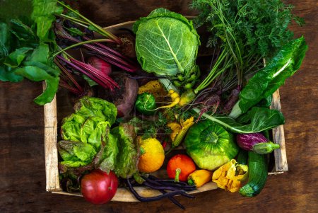 Téléchargez les photos : Caisse remplie de légumes biologiques, vue de dessus sur le vieux panneau brun foncé. - en image libre de droit