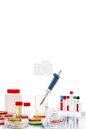 Photo for Petri dishes with blood and urine samples. - Royalty Free Image