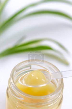 Photo for Spoon filled with royal jelly above the jar. - Royalty Free Image