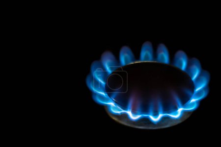 Photo for Close-up of a burner, blue flames, on a black background. - Royalty Free Image