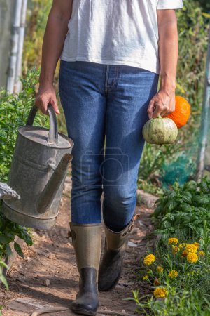 Photo for Vertical closeup of a woman's lower body walking down the greenhouse aisle holding a watering can on top of a watering can - Royalty Free Image