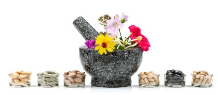 Foto de Complementos alimenticios a base de ingredientes activos de plantas medicinales aisladas sobre fondo blanco - Imagen libre de derechos