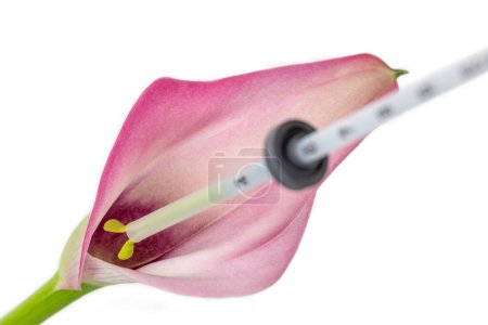 Photo for IUD penetrating an aroma symbolizing the uterus. - Royalty Free Image