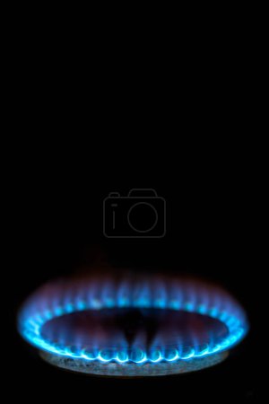 Téléchargez les photos : Close-up of a burner, blue flames, on a black background. - en image libre de droit