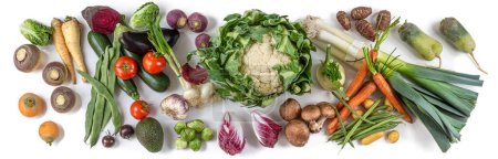 Photo for Panoramic of vegetables from the vegetable garden including ancient root vegetables. - Royalty Free Image