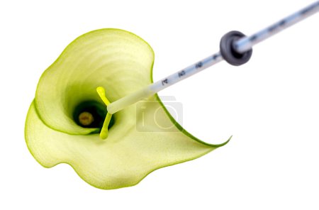 IUD penetrating an aroma symbolizing the uterus.