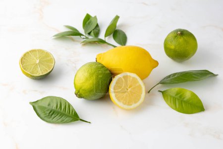 Citron frais et citron vert fruits entiers et tranchés avec des feuilles d'agrumes sur fond de table en marbre clair. Groupe d'agrumes et feuilles.