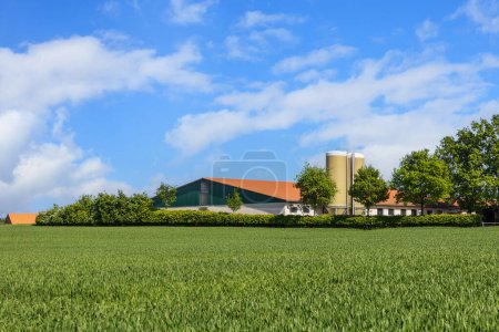 View on cattle or pig farm with silo storage and feeding system. Rural Germany landscape with field, farm buildings, blue sky and clouds in sunny summer day.