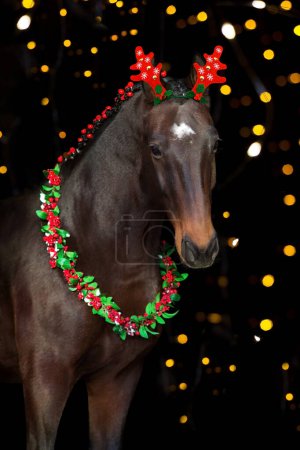 Téléchargez les photos : Cheval de baie dans la décoration de Noël sur fond noir - en image libre de droit