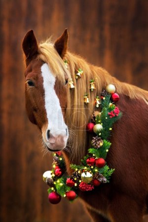 Téléchargez les photos : Portrait de cheval rouge avec longue crinière dans la décoration de Noël - en image libre de droit