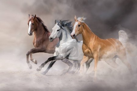 Foto de Palomino, white and bay horse run free in desert sand - Imagen libre de derechos