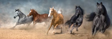Téléchargez les photos : Troupeau de chevaux galopant sur la poussière sablonneuse contre le ciel - en image libre de droit