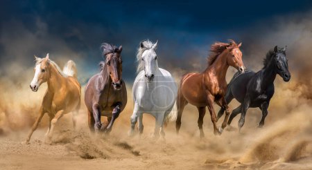 Foto de Manada de caballos corre hacia adelante en una tormenta del desierto contra un cielo oscuro - Imagen libre de derechos