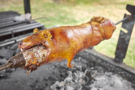 Nahaufnahme eines gebratenen Meerschweinchens auf einem Grill, selektiver Fokus, Ecuador.