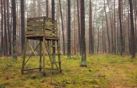Photo of a deer hunting stand in a forest.