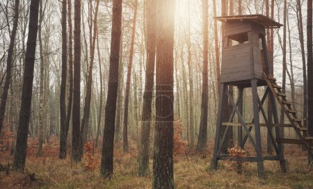 Photo of a deer hunting tower in a forest.