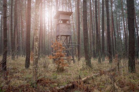 Foto de una torre de caza de ciervos en un bosque.