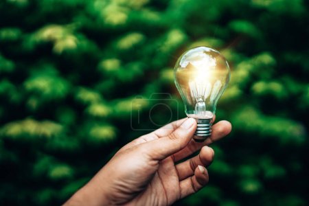 Ecology energy efficiency concept. Hand holding light bulb against nature on blurred tree background.-stock-photo