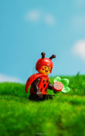 Photo for Bangkok, Thailand - October 3, 2022: Lego ladybug minifigure with ladybugs. - Royalty Free Image