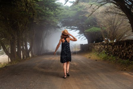 Téléchargez les photos : Femme touristique marchant à travers les arbres brumeux vers la forêt de genévriers à El Hierro. Pays-Bas - en image libre de droit