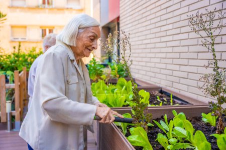 Foto de Foto de perfil de una linda mujer mayor cultivando plantas en un jardín en un geriátrico - Imagen libre de derechos