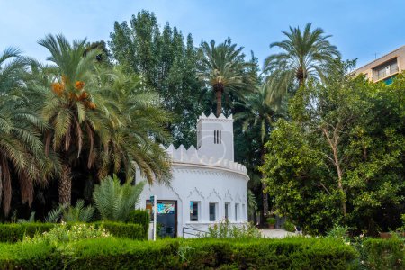 Oficina de turismo en el parque de palmeras de la ciudad de Elche. España