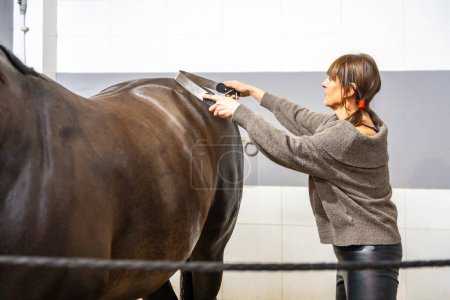 Photo for Cropped photo of a woman cleaning and grooming a horse in stable - Royalty Free Image