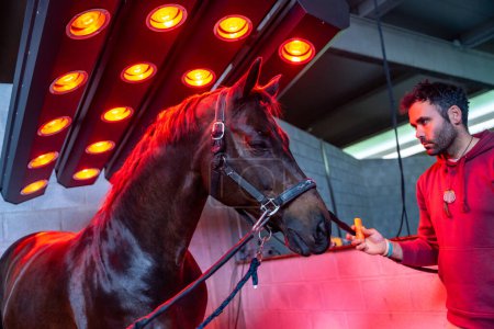Foto de Caballo bajo luces rojas de solarium en un centro de rehabilitación con la compañía de un veterinario - Imagen libre de derechos