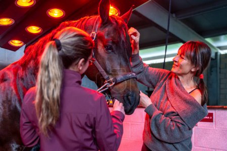 Foto de Mujeres con caballo en un innovador solarium animal en un centro de rehabilitación - Imagen libre de derechos