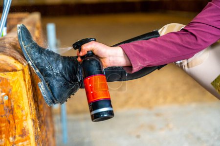 Photo for Part of a woman cleaning riding boots with spray in a ranch - Royalty Free Image