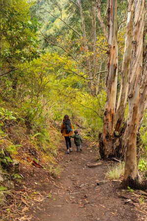 Una madre con su hijo en un sendero en el bosque Laurisilva de Los tilos de Moya, Gran Canaria