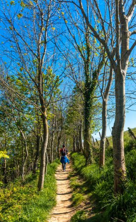 Un randonneur marchant dans une forêt près du flysch de Zumaia, Gipuzkoa. Pays basque