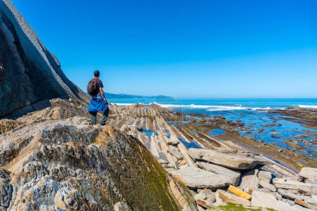 A man next to the marine vegetation in Algorri cove on the coast in the flysch of Zumaia, Gipuzkoa. Basque Country