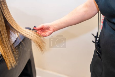 Photo for Close-up of a hairdresser combing repaired and perfect blonde hair of a client in the salon - Royalty Free Image