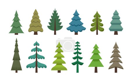 Foto de Ilustración vectorial de pinos y abetos en estilo plano. Árboles de Navidad de diferentes formas de colección. Símbolo madera y bosque. - Imagen libre de derechos