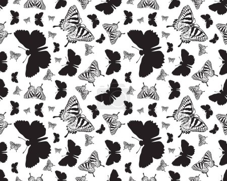 Photo for Seamless pattern with black silhouettes of butterflies on on a white background - Royalty Free Image