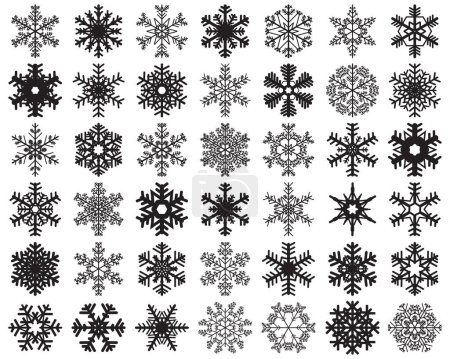 Photo for Set of different black snowflakes on a white background - Royalty Free Image