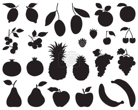 Photo for Black silhouettes of fruit on a white background - Royalty Free Image