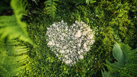 Zarte weiße Pilze bilden inmitten von leuchtend grünem Moos und Farnen eine Herzform, die Liebe und Sensibilität gegenüber der Natur symbolisiert. 3D-Darstellung