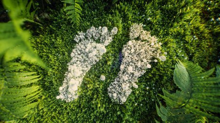 Photo for Artistic image of human footprints made from white mushrooms on a bed of green moss and ferns, symbolizing sustainable interaction with nature. 3d rendering. - Royalty Free Image