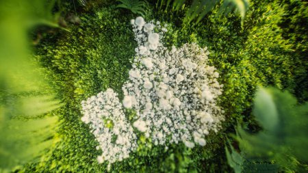 Photo for 3D rendering of a 'like' symbol made of white mushrooms on green moss and ferns, representing nature's harmony and positivity. - Royalty Free Image