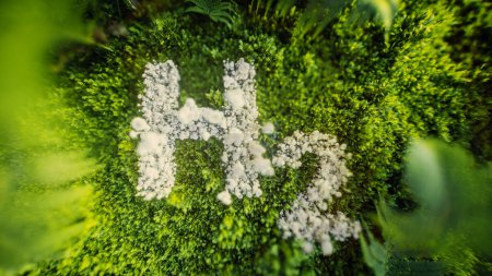 Representación en 3D del símbolo de hidrógeno (H2) hecho de hongos blancos sobre musgo verde exuberante y helechos, que representan fuentes de energía ecológicas y sostenibles.